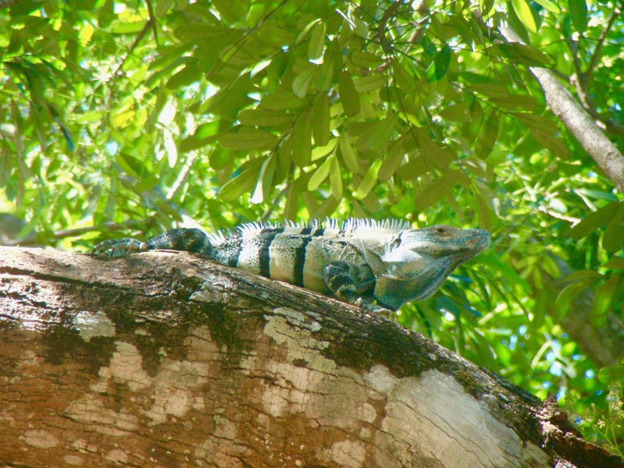 Hotel El Manglar ปลายา กรานเด ภายนอก รูปภาพ